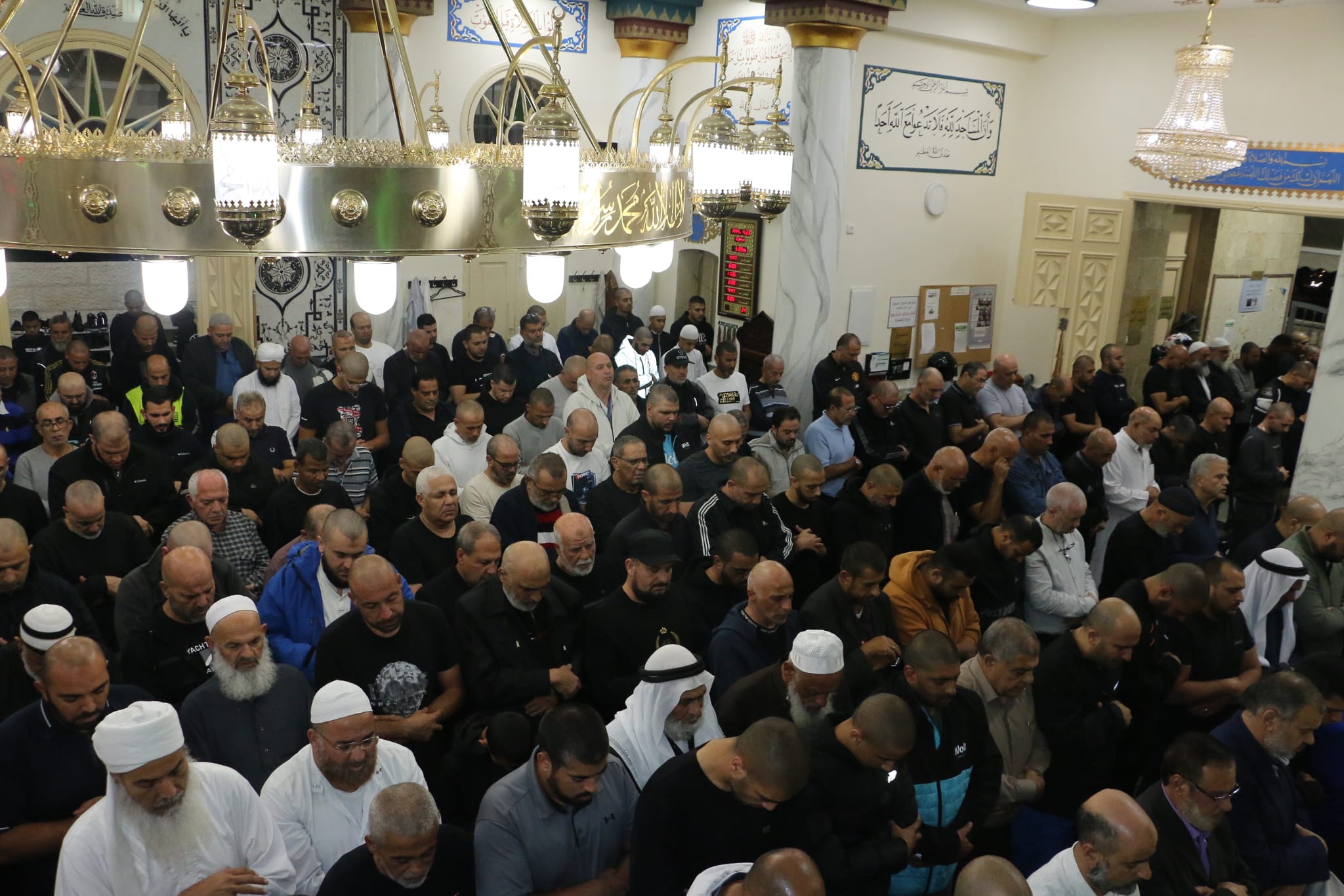 WhatsApp Image 2022-11-17 at 5.22.27 PM.jpeg